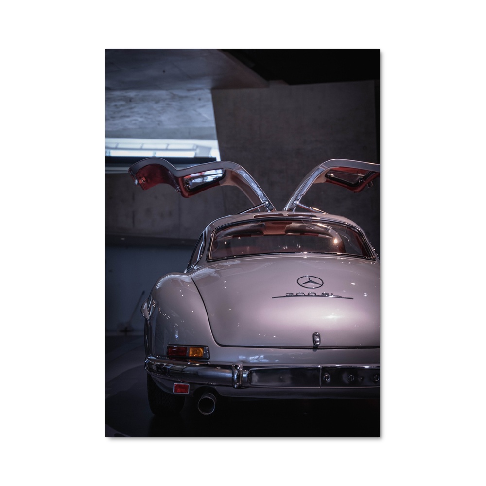 Poster Gullwing Éclat
